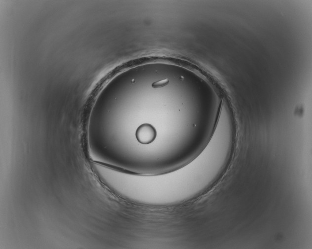 X0000112891264200908281652