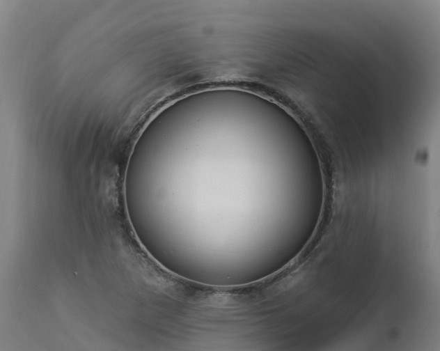 X0000112891265200908281652