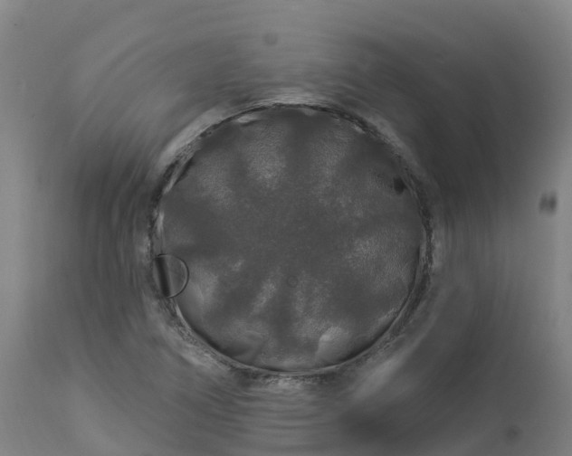 X0000112891266200908281652