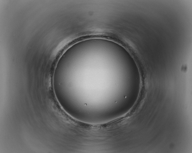 X0000112891267200908281652