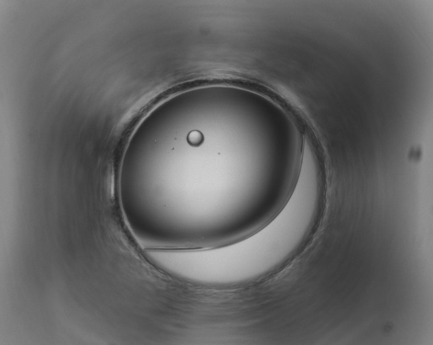 X0000112891269200908281652