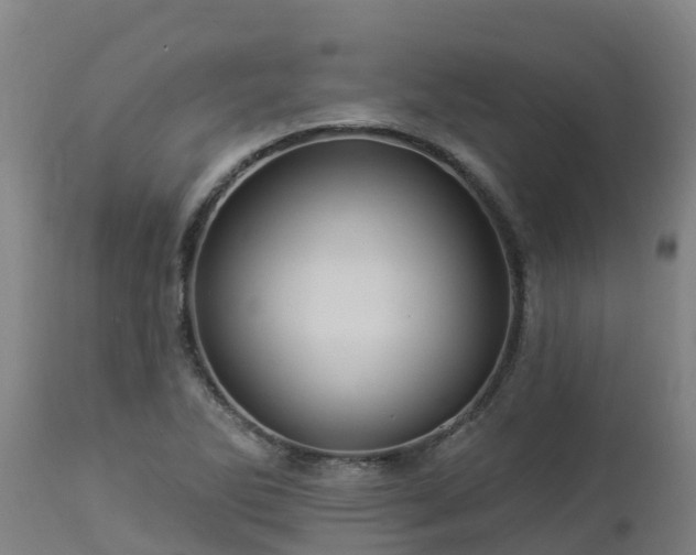X0000112891270200908281652
