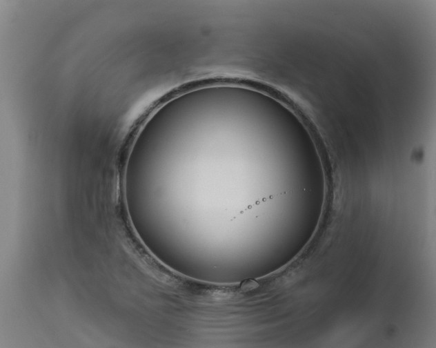 X0000112891271200908281652