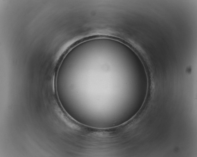 X0000112891272200908281652