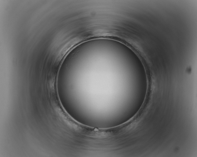 X0000112891273200908281652