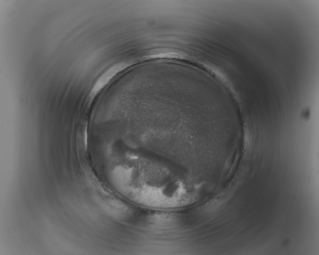 X0000112891274200908281652