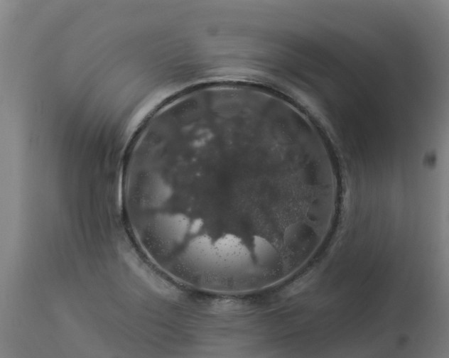 X0000112891275200908281652