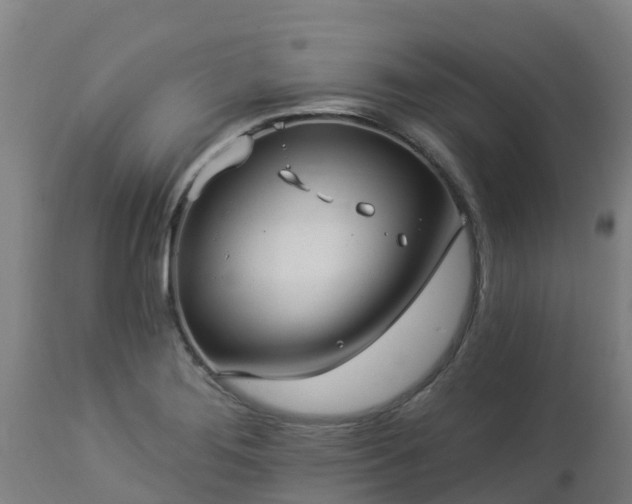 X0000112891276200908281652