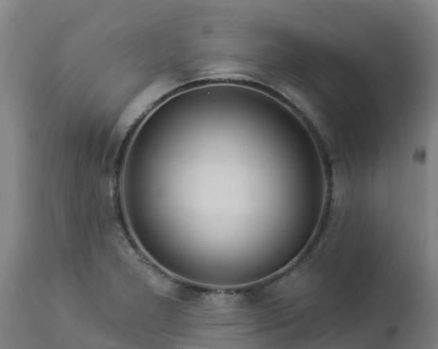 X0000112891277200908281652