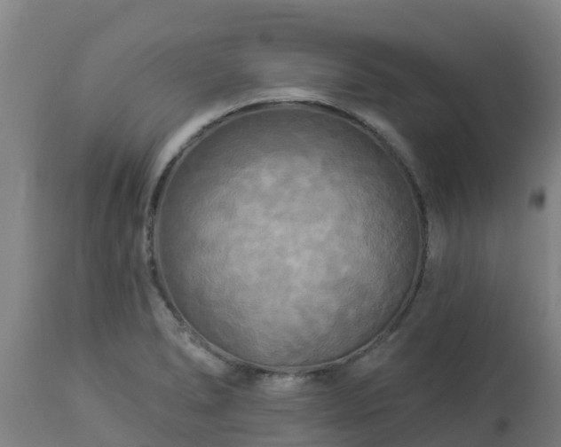 X0000112891278200908281652
