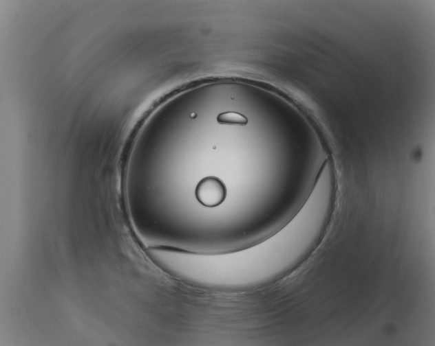 X0000112891280200908281652