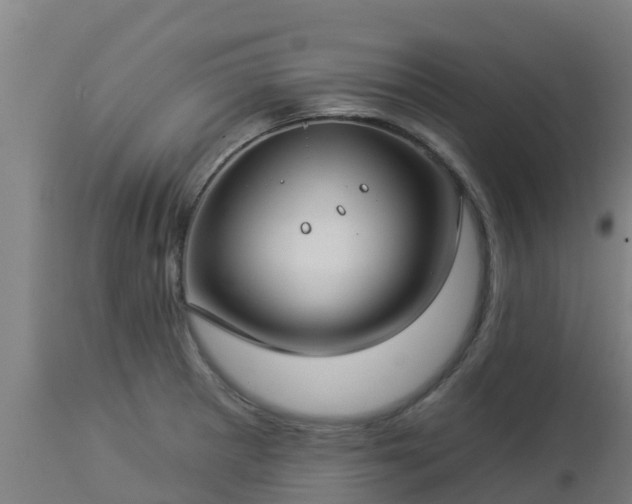 X0000112891281200908281652
