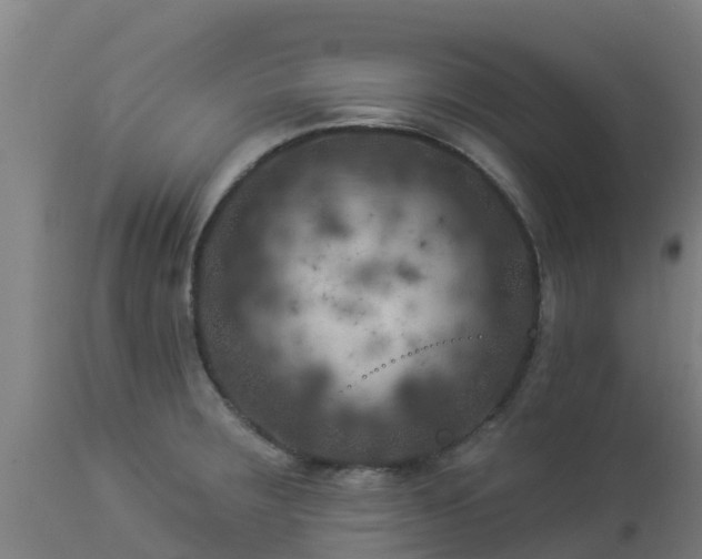X0000112891283200908281652