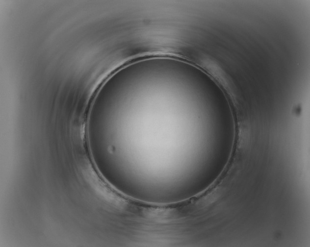 X0000112891284200908281652