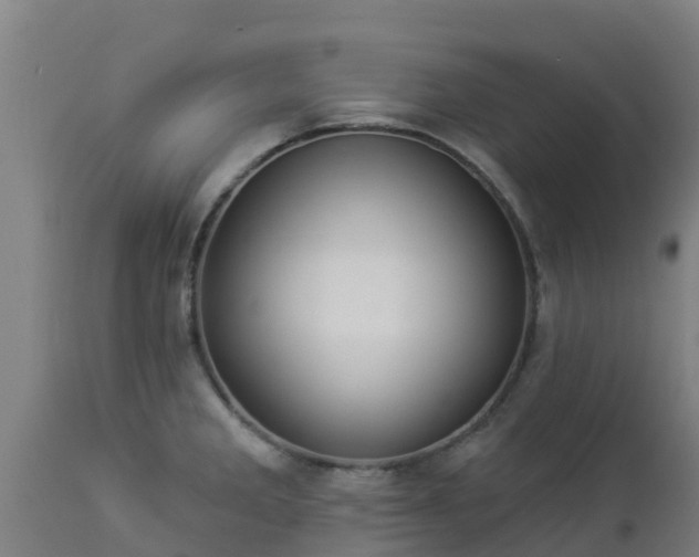X0000112891285200908281652