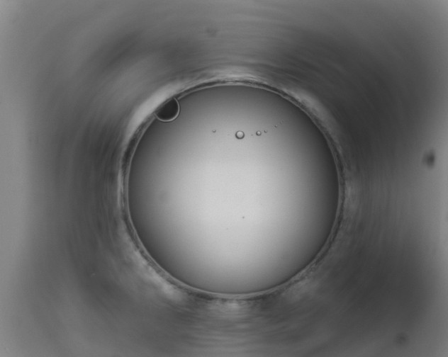X0000112891286200908281652