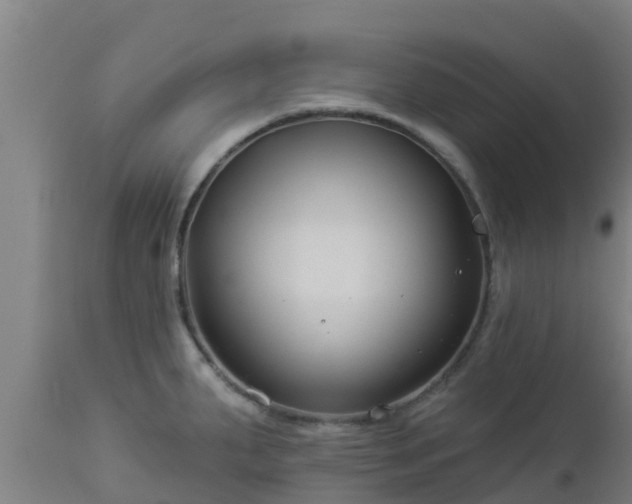 X0000112891287200908281652