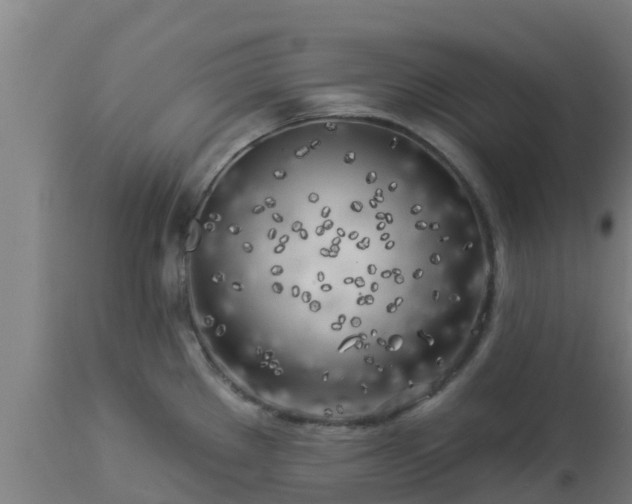 X0000112891289200908281652