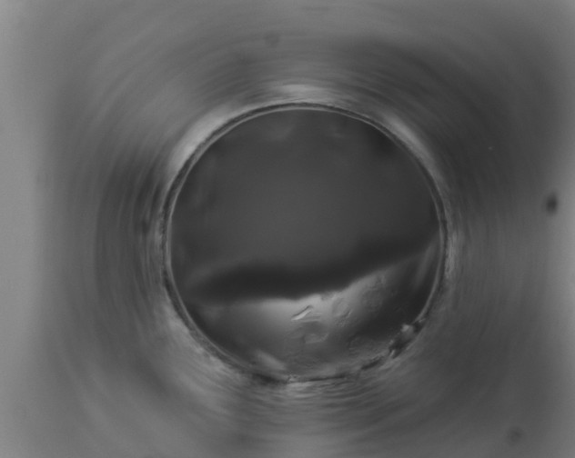 X0000112891291200908281652