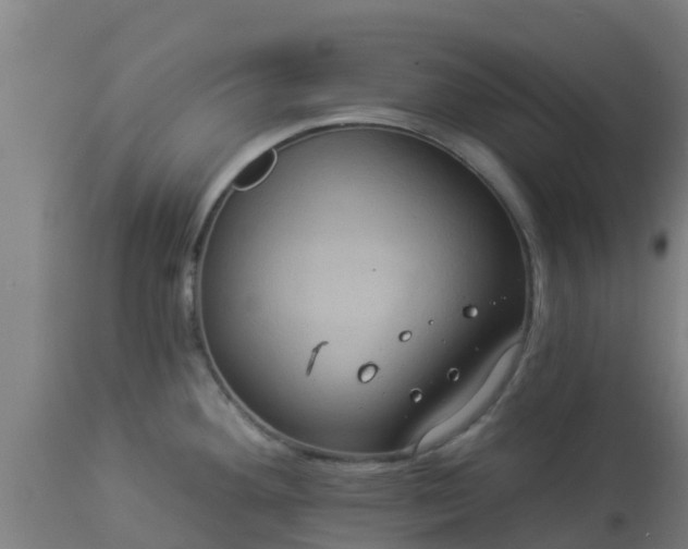X0000112891292200908281652