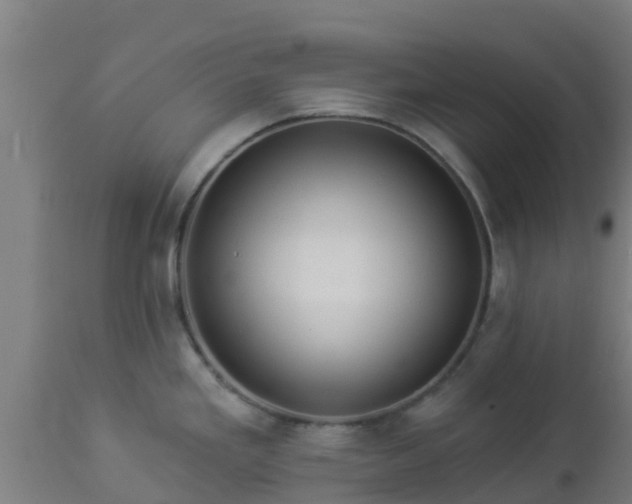 X0000112891293200908281652