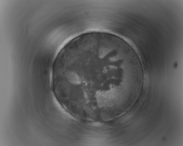 X0000112891295200908281652