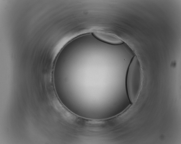 X0000112891296200908281652