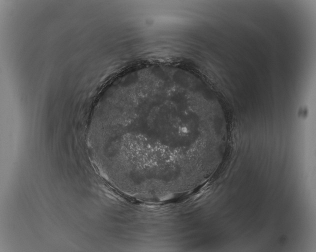 X0000112891297200908281651