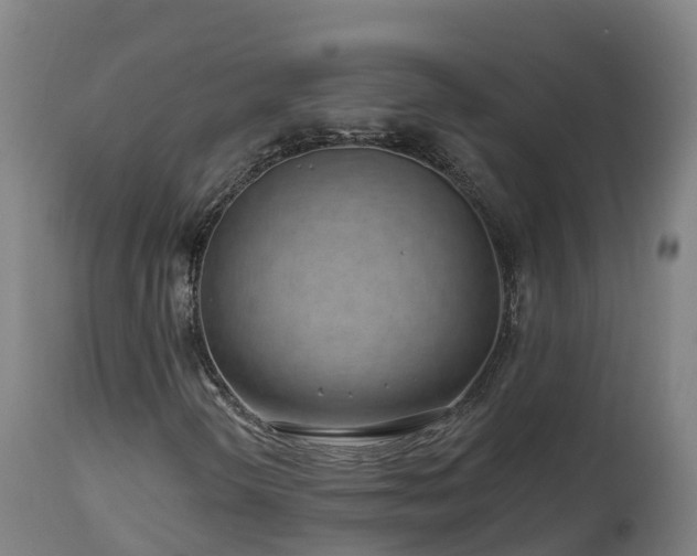 X0000112891298200908281651