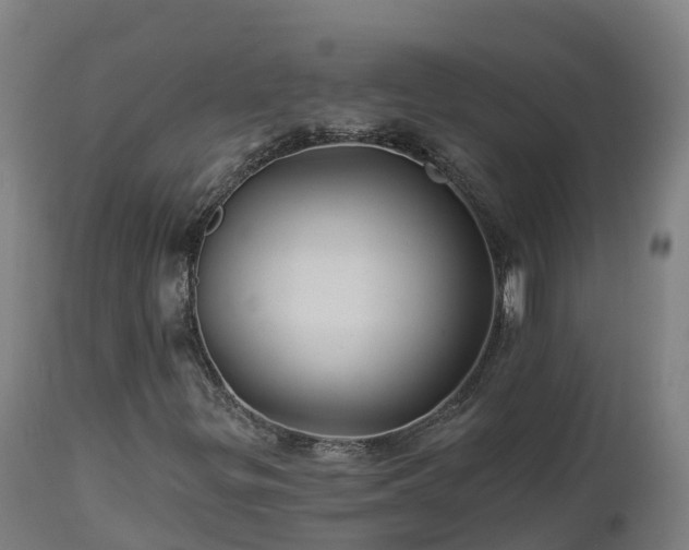 X0000112891299200908281651