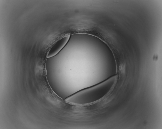 X0000112891300200908281651