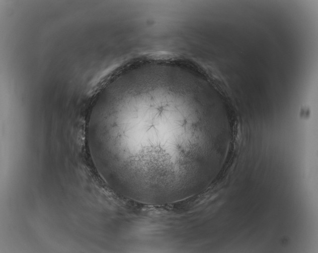 X0000112891301200908281651