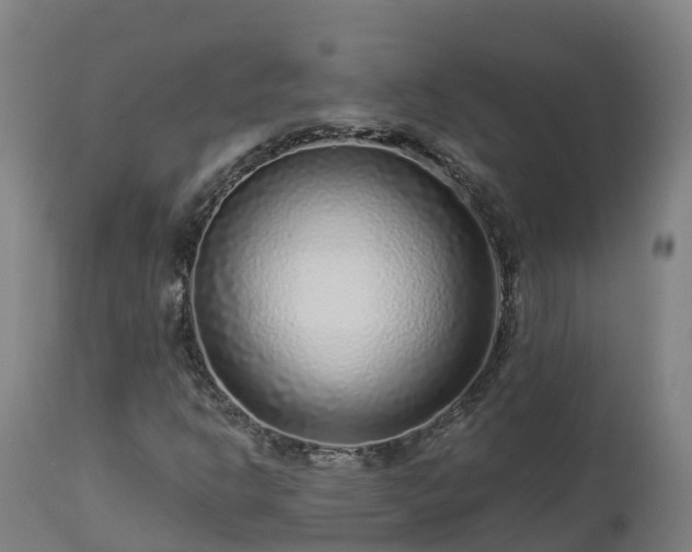 X0000112891302200908281651