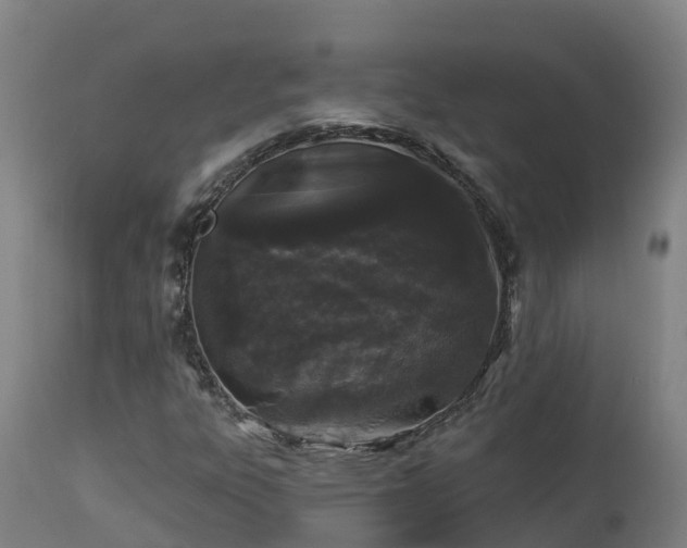 X0000112891303200908281651