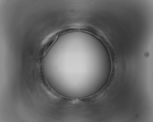 X0000112891304200908281651