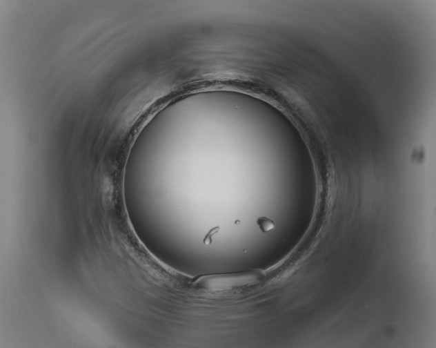 X0000112891305200908281651