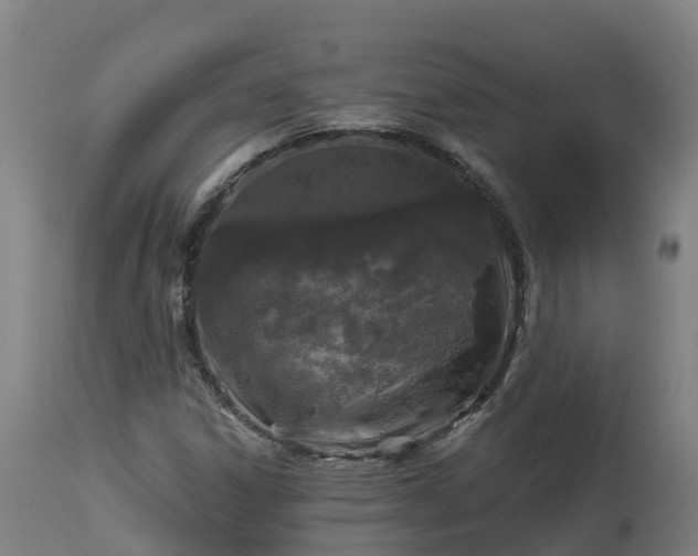 X0000112891306200908281651