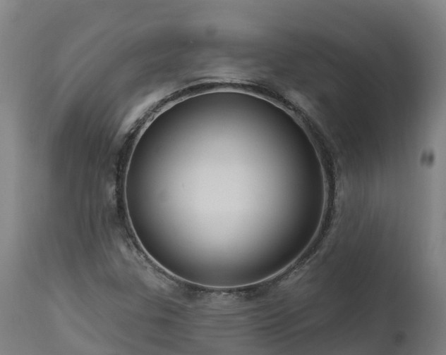 X0000112891307200908281651