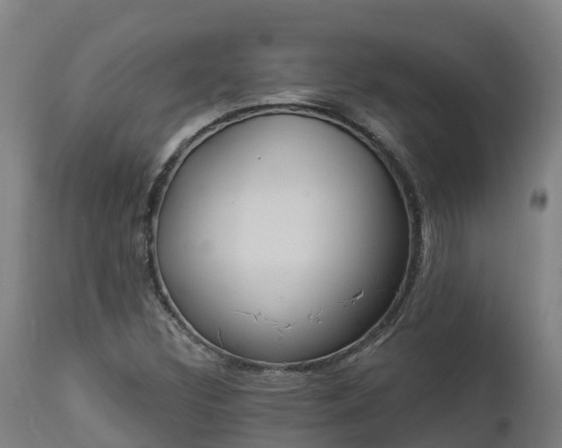 X0000112891308200908281651
