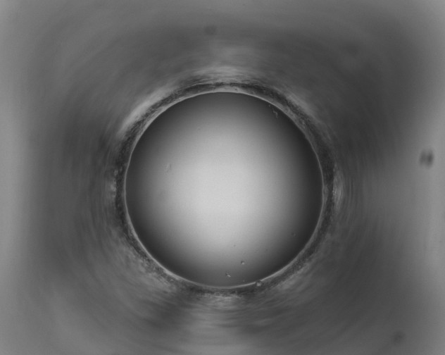 X0000112891309200908281651