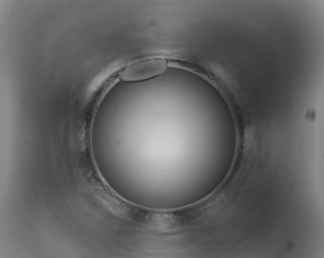 X0000112891310200908281651