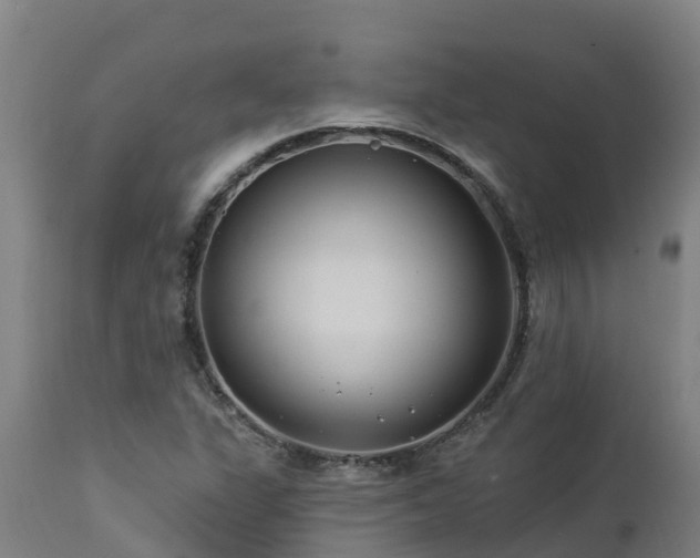 X0000112891311200908281651
