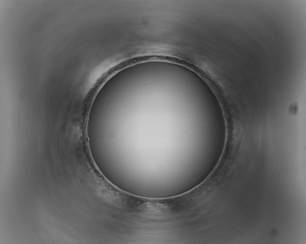 X0000112891312200908281651