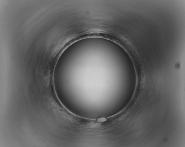 X0000112891313200908281651