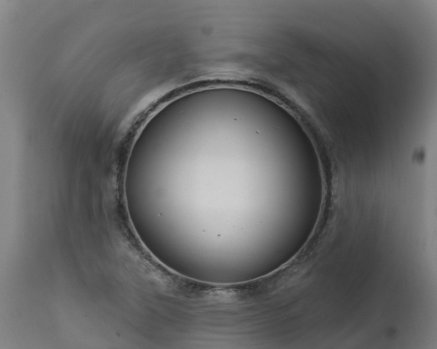X0000112891315200908281651