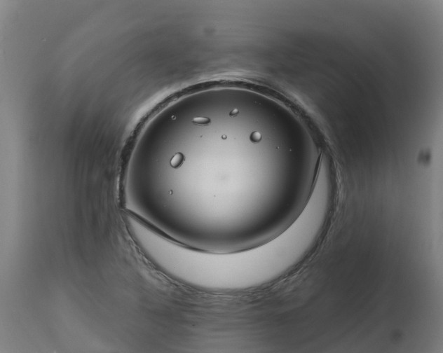 X0000112891316200908281651
