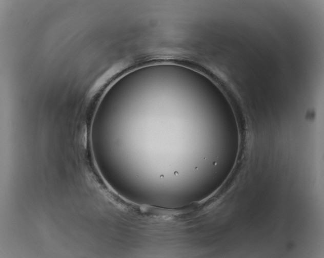 X0000112891317200908281651