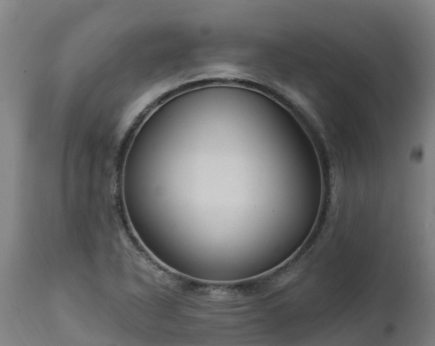 X0000112891318200908281651