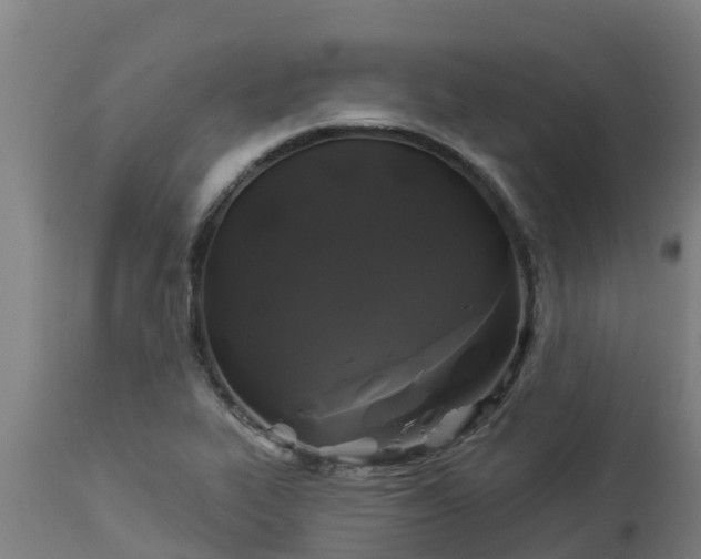 X0000112891319200908281651