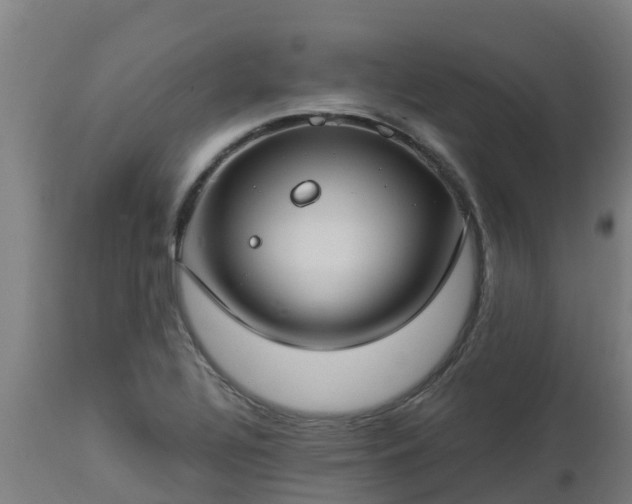 X0000112891320200908281651